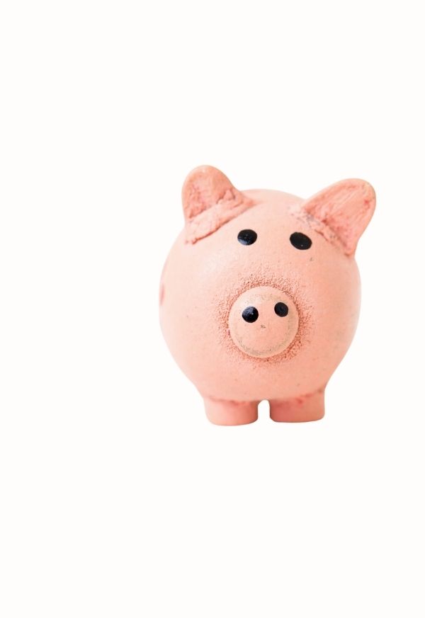 Ein niedlich aussehendes Sparschwein