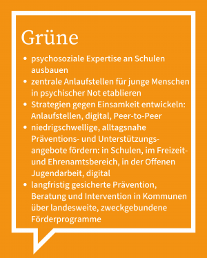 Auf dem Bild ist in Stichpunkten die Antwort der Grünen zu sehen