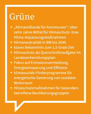 Die Antworten der Grünen in Stichpunkten