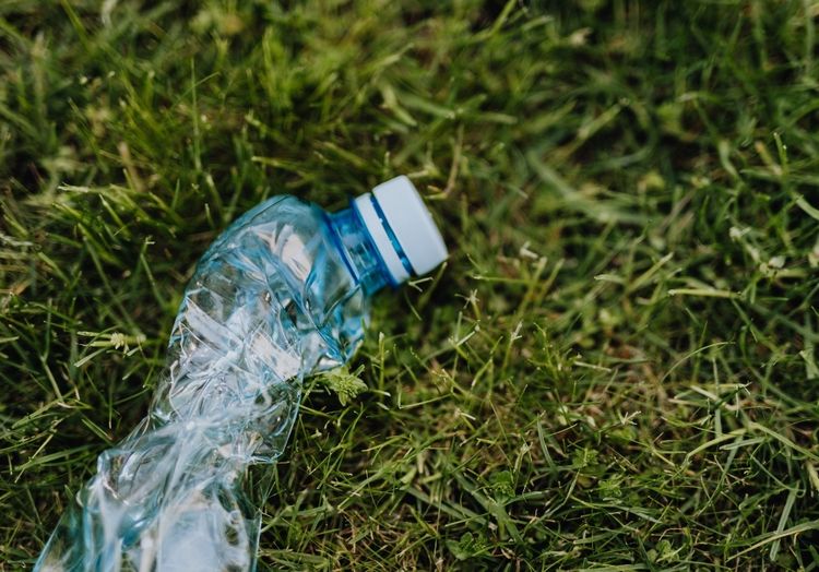 Auf einer Wiese liegt eine zerknickte Plastikflasche.